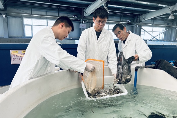 图为工作人员捕捞待放流的鱼苗610407